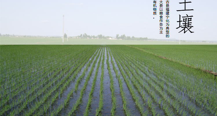 红米
