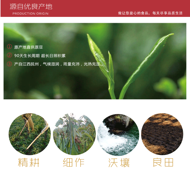 长粒赤豆