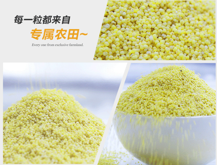 黄小米